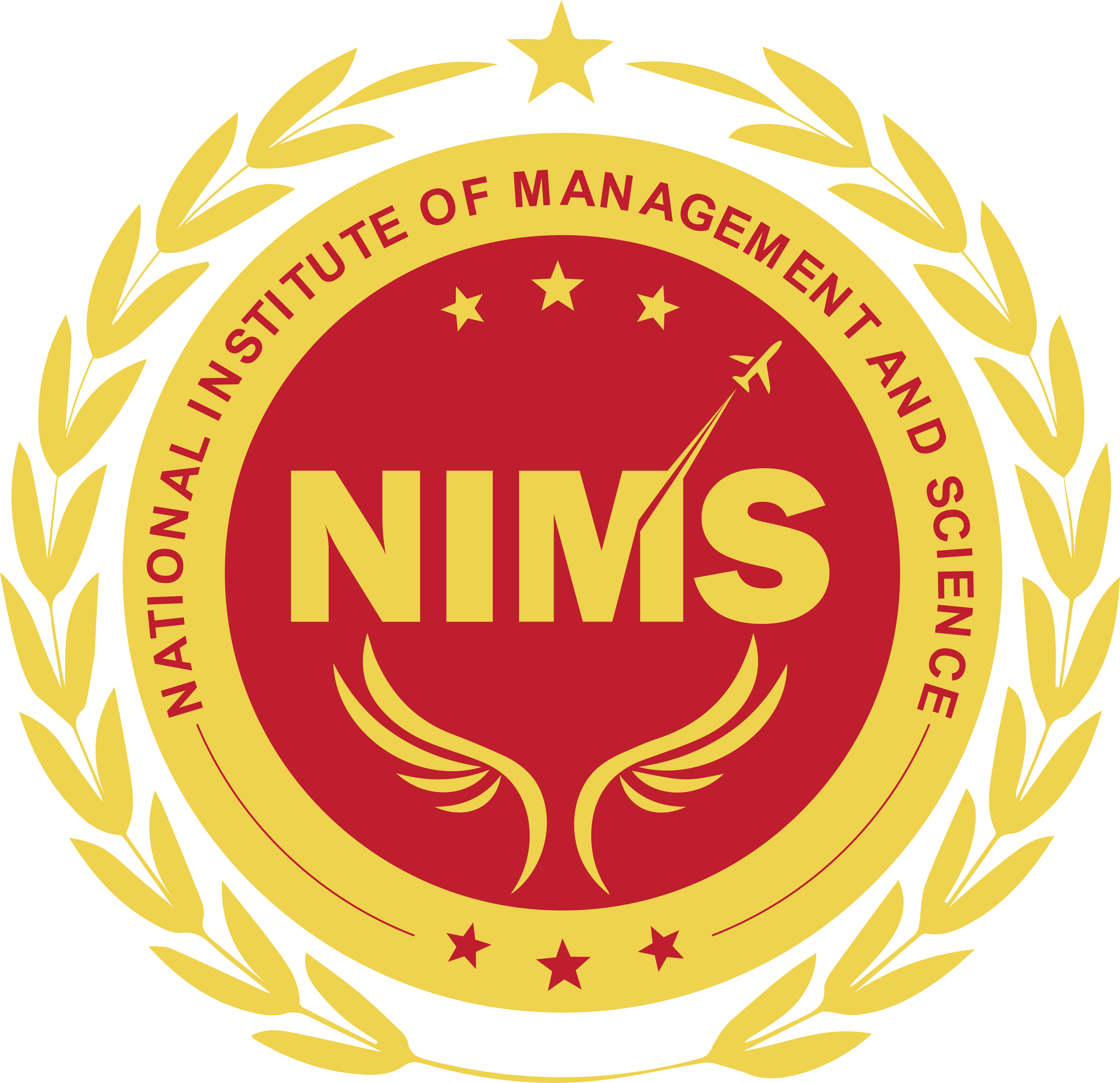 About Nims logo